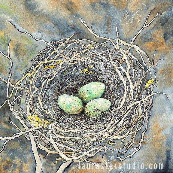 watercolor painting of black bird nest