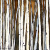 watercolor painting of the moon glowing through an aspen grove.